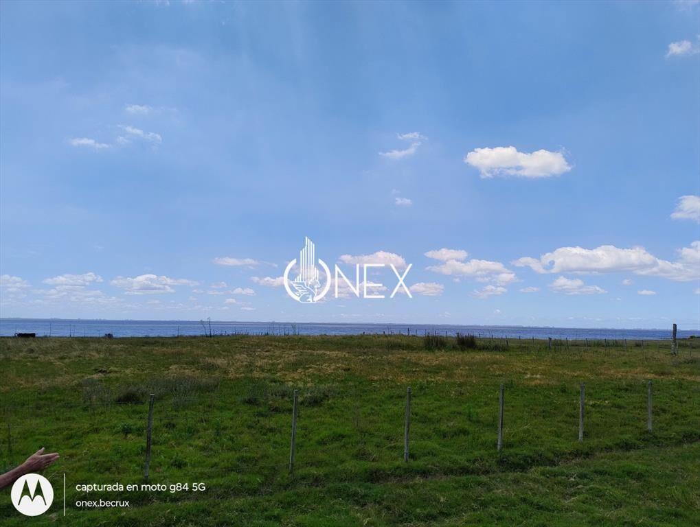 Oportunidad Venta de Campo agricola ganadero 576