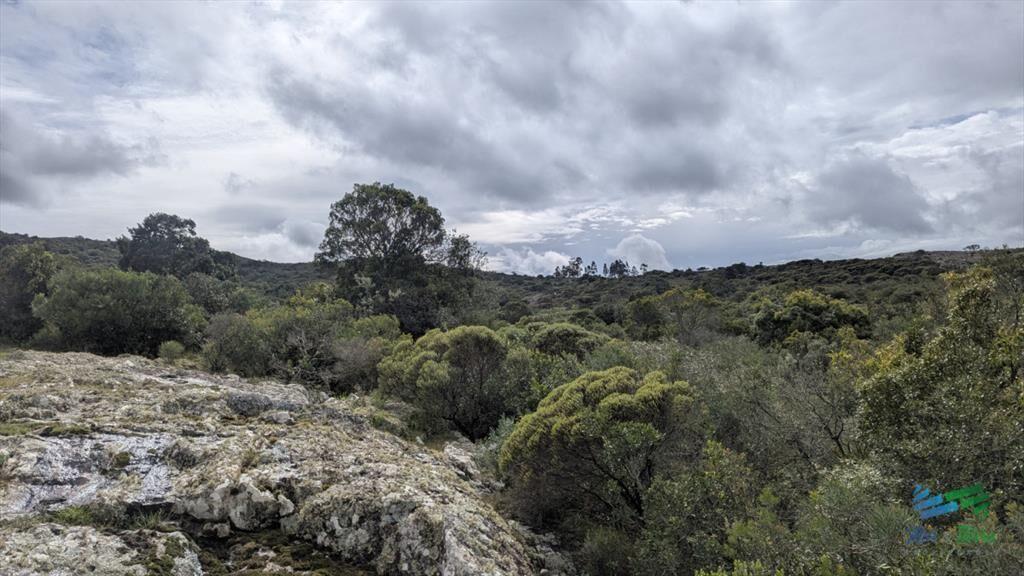 Venta de chacras en sierra de los caracoles