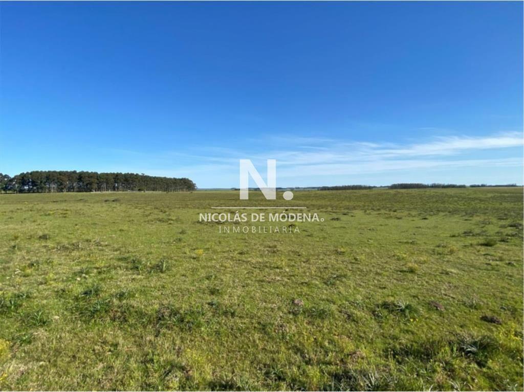 Gran campo en Maldonado