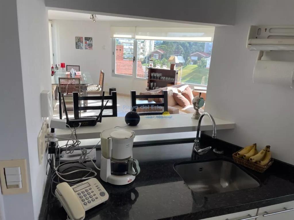 Apartamento en Punta del Este, Brava
