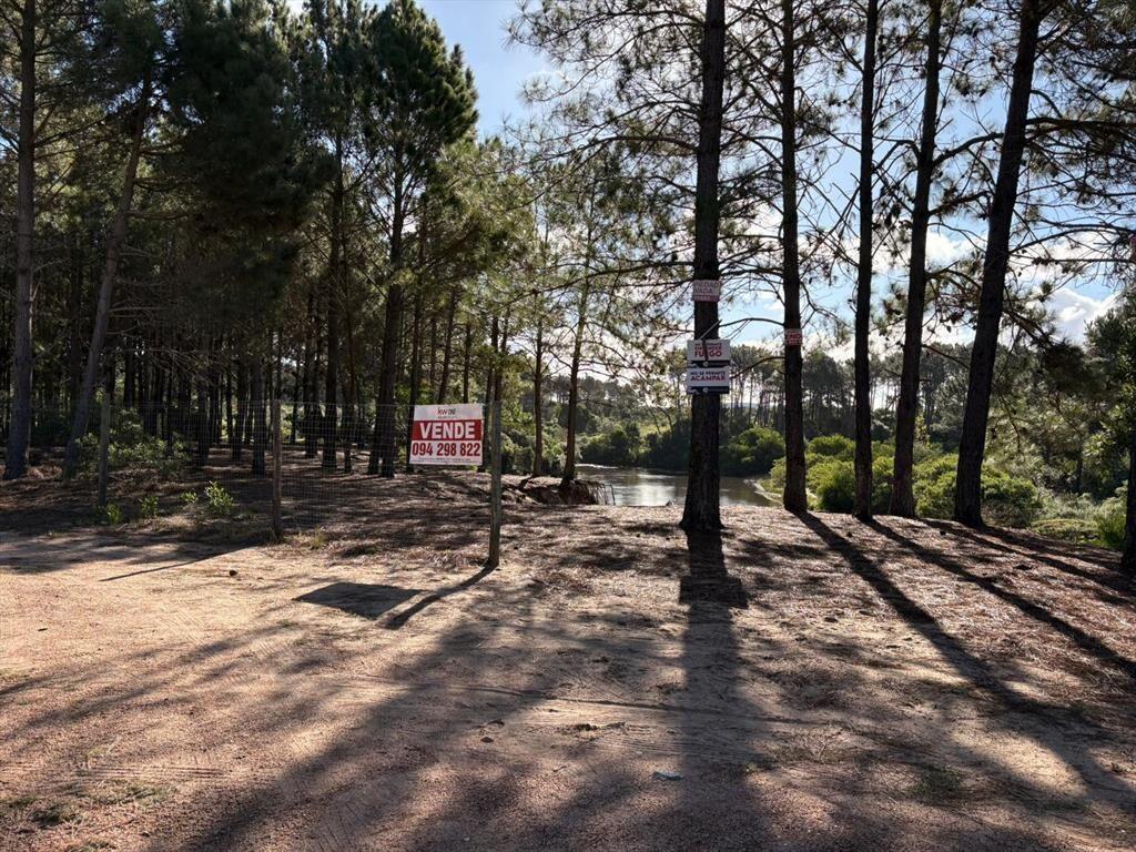 Terreno apto desarrollo lotes