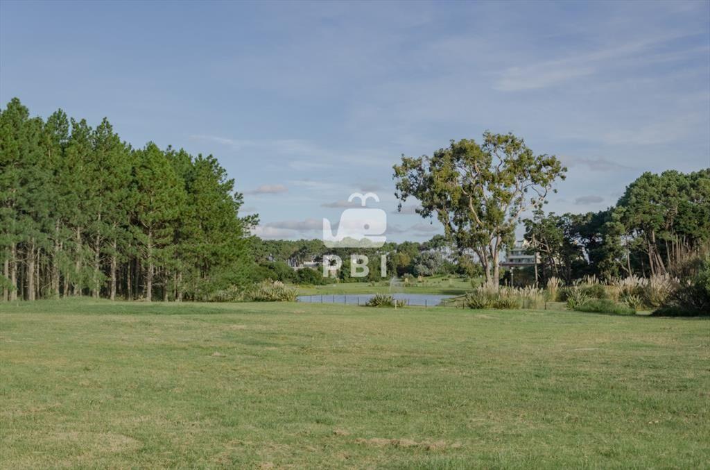 Venta de Terreno en Piedras del Chileno, Punta -