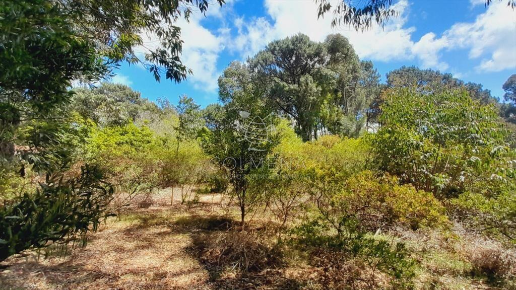 Terreno en Punta Ballena, Portezuelo Bosque