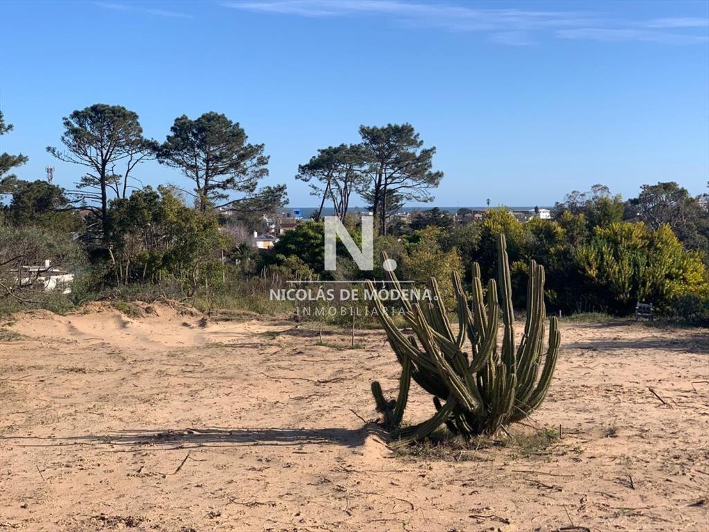 Terreno en Venta en La Barra , Maldonado