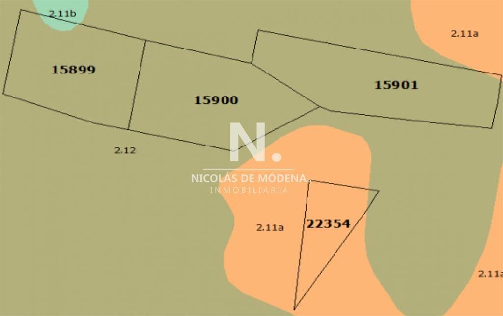 Campo Ganadero en Venta en Aigua