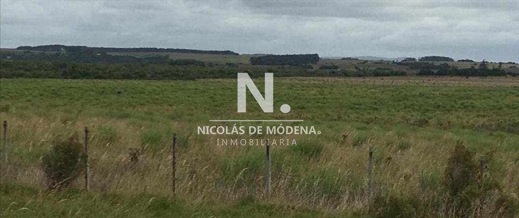 Campo a pocos metros de Ruta Nacional número 9