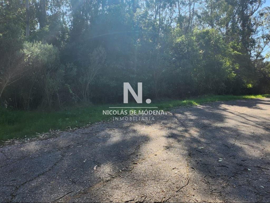 Vende terreno amplio de 4226 m2, en Las Cumbres-