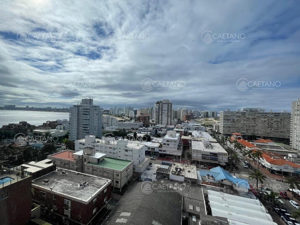 APARTAMENTO 3 DORMITORIOS PISO ALTO PENÍNSULA