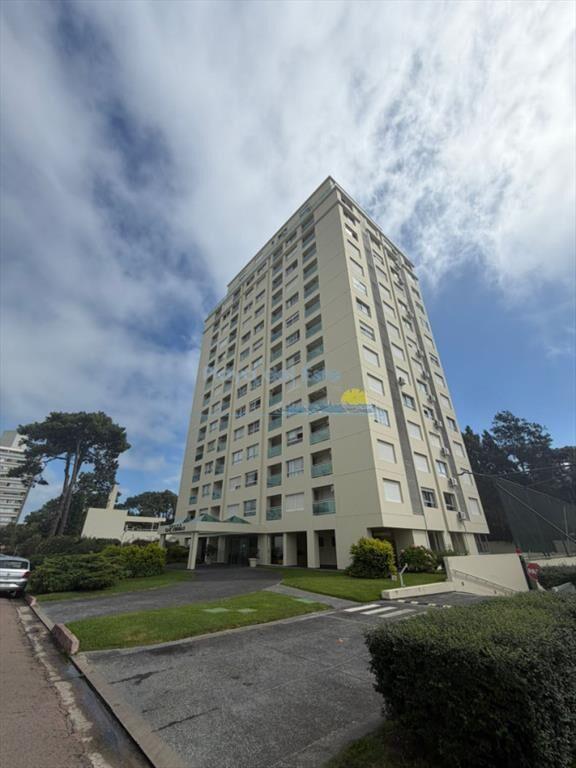 Apartamento en alquiler de 1 dormitorio en Punta