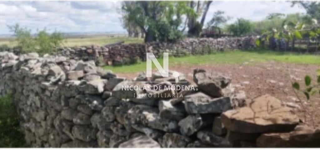 Vende campo en Salto, Costas de Arerungua.
