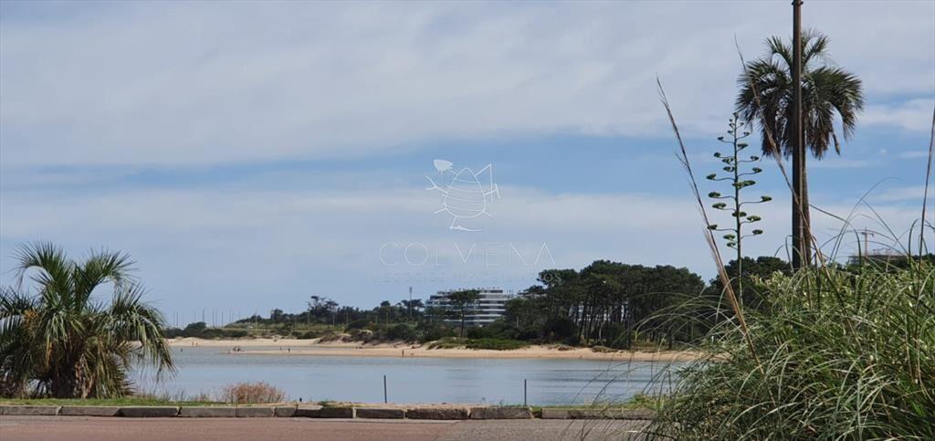 Casa en primera linea, El tesoro - La Barra