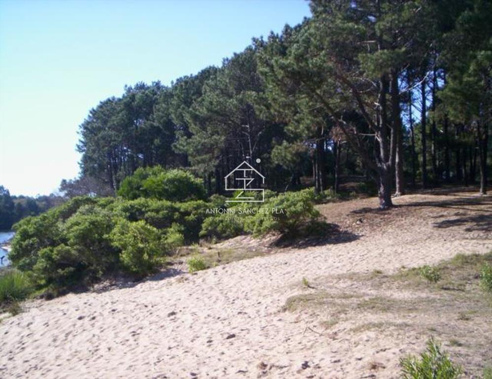 Terreno en Punta Ballena, Chihuahua