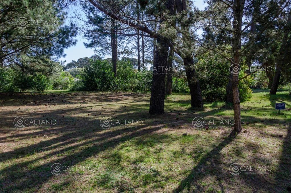 Venta lote en Veramansa, Playa Mansa