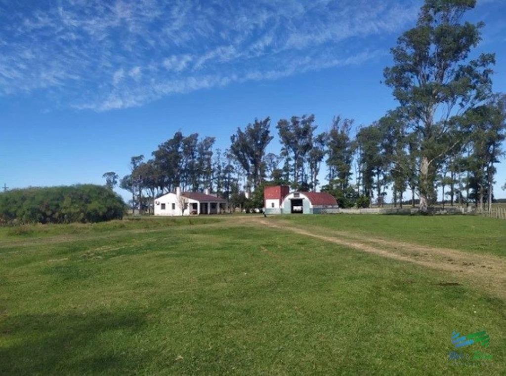 Campo Arrocero-Ganadero 1.636 Has sobre Ruta