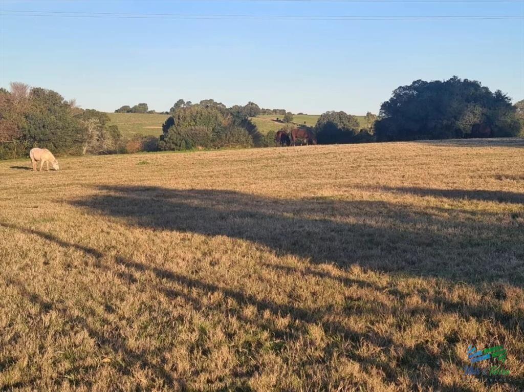 Campo Agrícola - Ganadero, 422 Has sobre Ruta 15