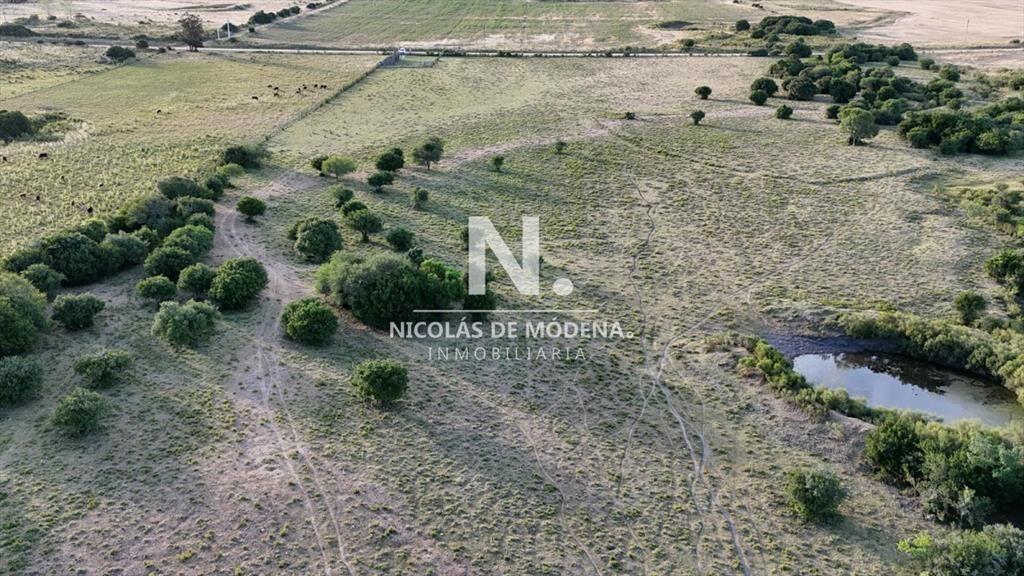 OPORTUNIDAD VENTA DE CHACRA 18 HAS 795 M2 ZONA DE