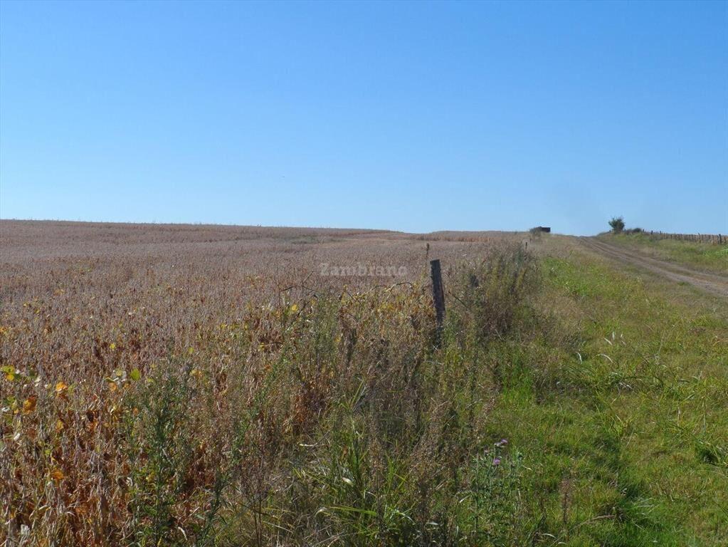 Estancia Agricola Ganadera 1600 ha en Paysandú