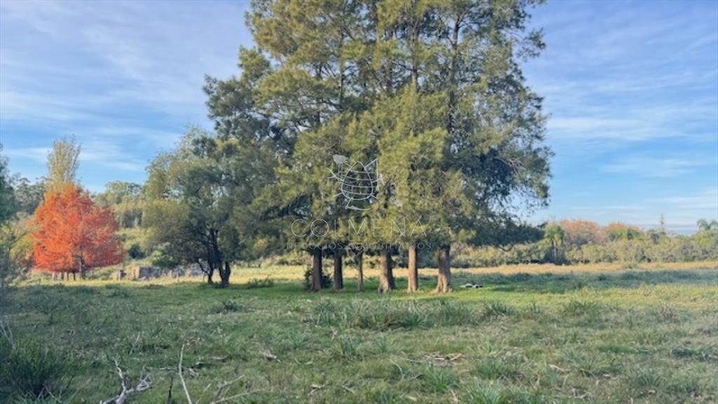 Campo de 4 has 1602 m2 muy cerca de ruta 12 y la