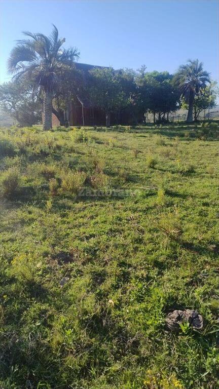 Chacra en Maldonado