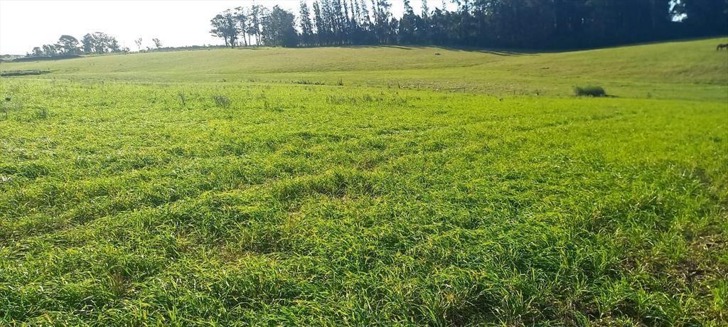 Campo en Rocha