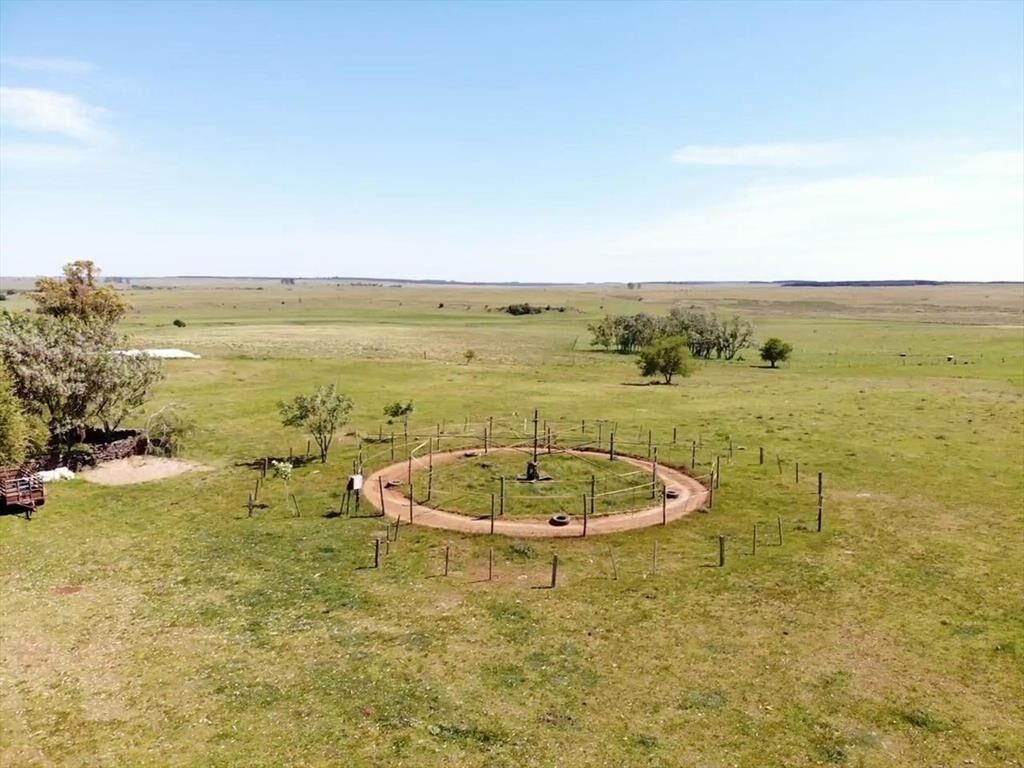 VENTA DE CAMPO GANADERO – 694 HAS. EN RIO NEGRO