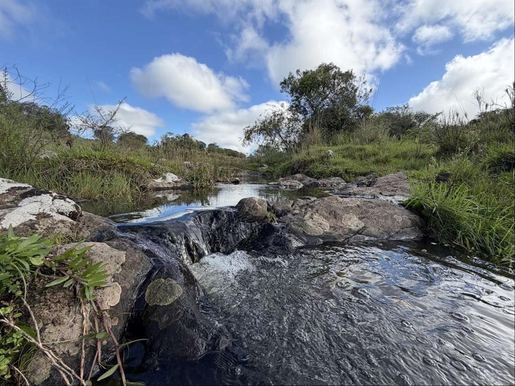 Campo 221 há Caza Mayor y Turismo sobre Ruta 98 — Sierra, A