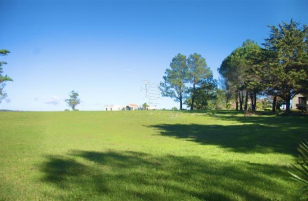 Chacra importante en R. 39 con 700 m2.