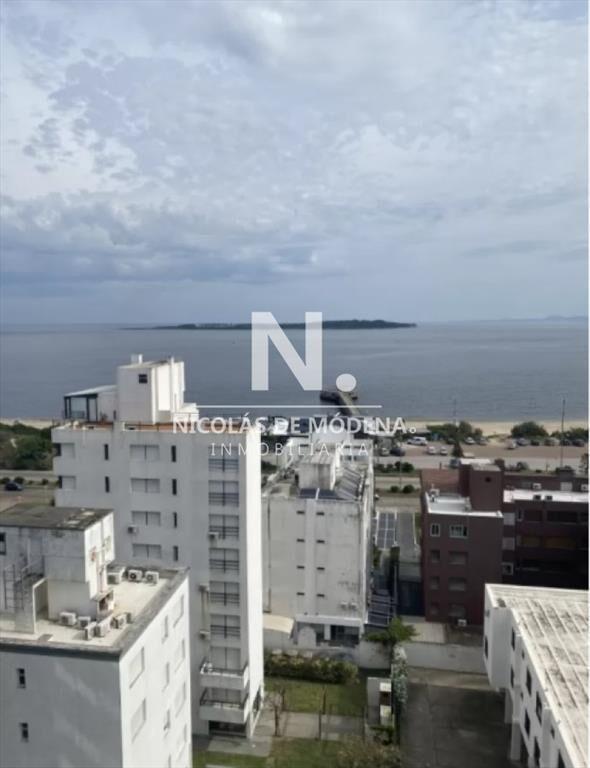 Vista directa al mar.
