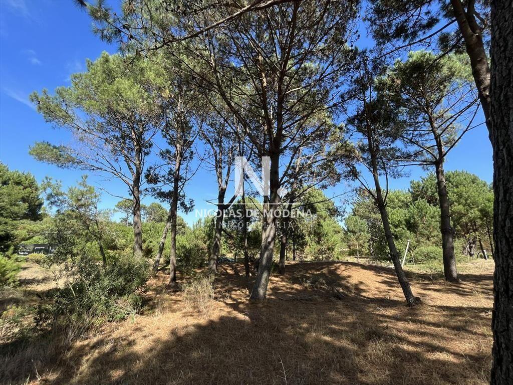 Terreno en venta en La Barra, rodeado de bellos
