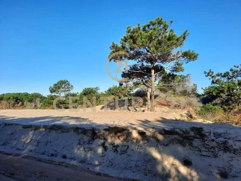 ATENCION INVERSORES-VENTA DE 3 SOLARES A METROS DE LA PLA...