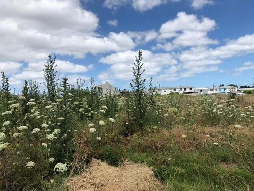 AL502/2 Venta Gran Terreno En Sayago Norte