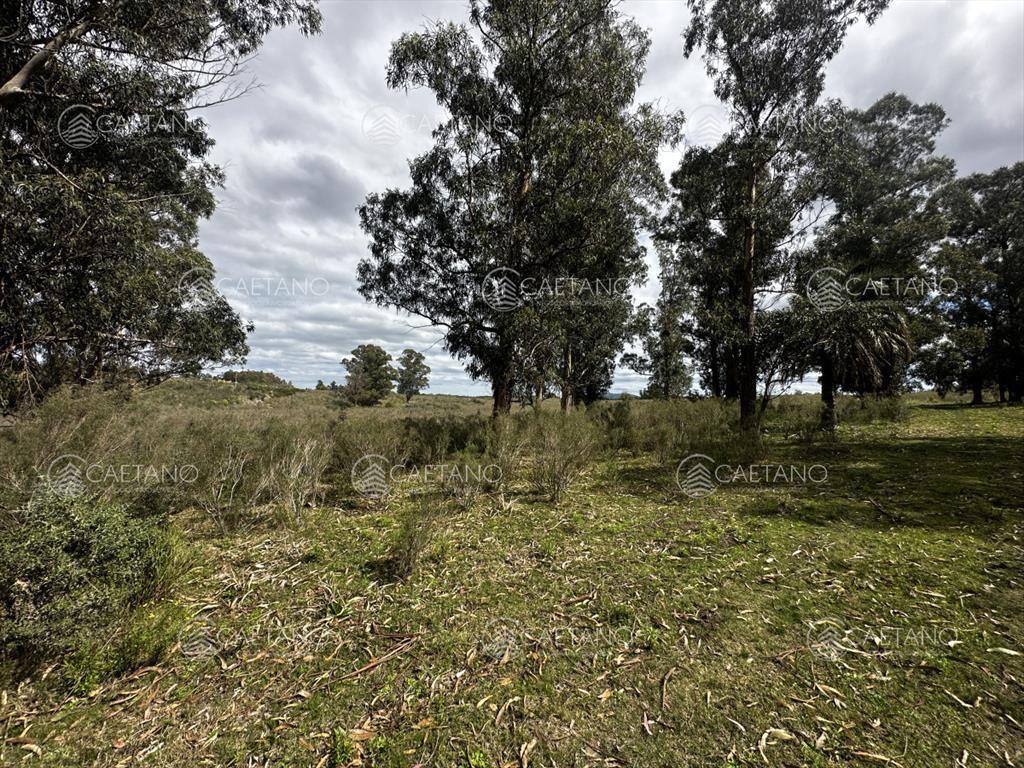 Venta chacra km 116 ruta 9. Cerca de Pan de