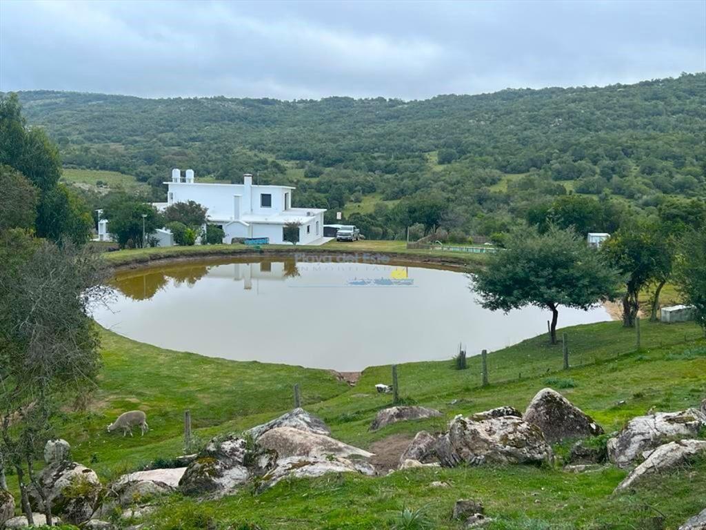 Campo en venta, a los pies del Cerro Catedral,