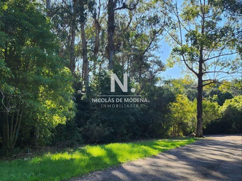 Vende terreno amplio de 4226 m2, en Las Cumbres-