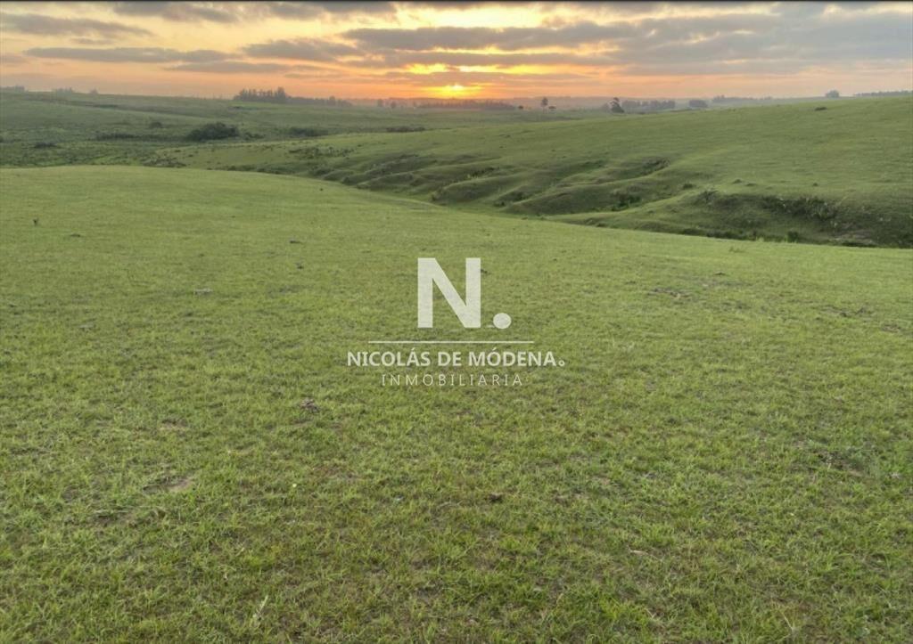 Vende excelente campo en  Jose Ignacio, ideal fin