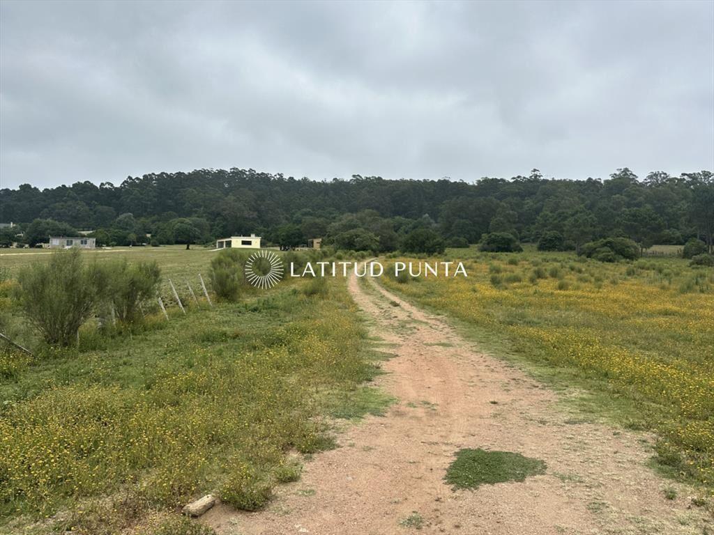 Chacra en zona La Pataia. Punta Ballena