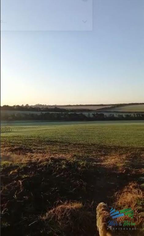 Excelente ubicación, Campo Mixto a poca de todo