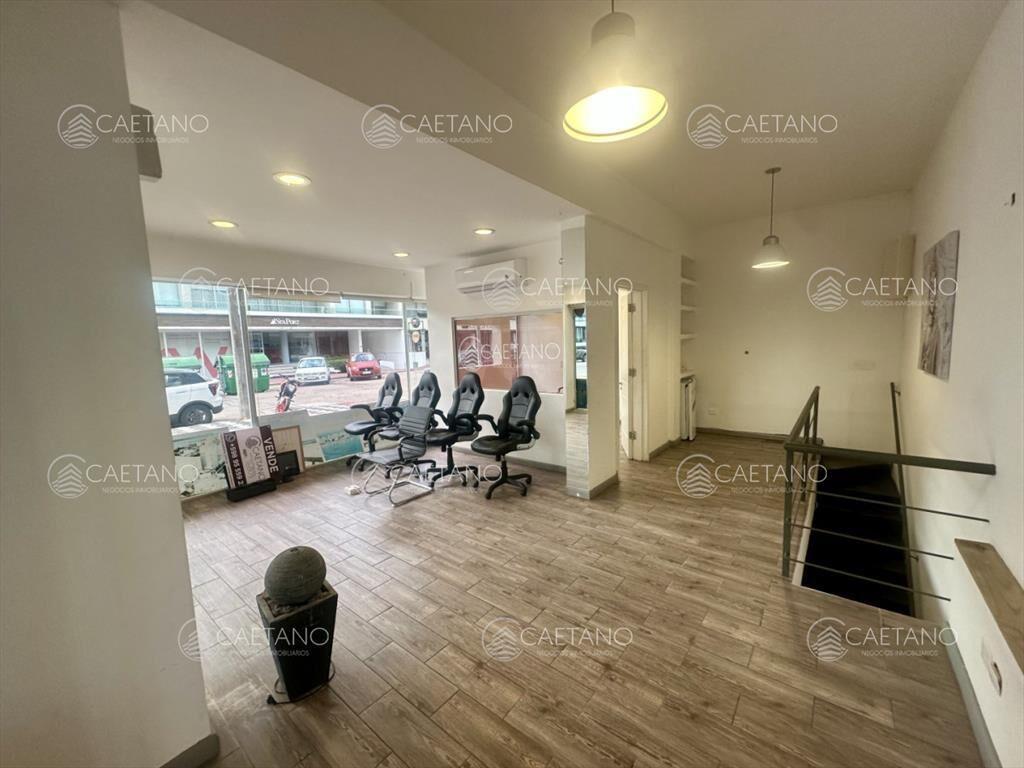 Alquiler anual, local comercial. Peninsula, Punta