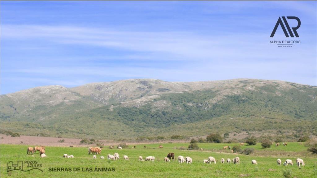 Chacra en venta de 1500m2 ubicado en Pan de Azúcar