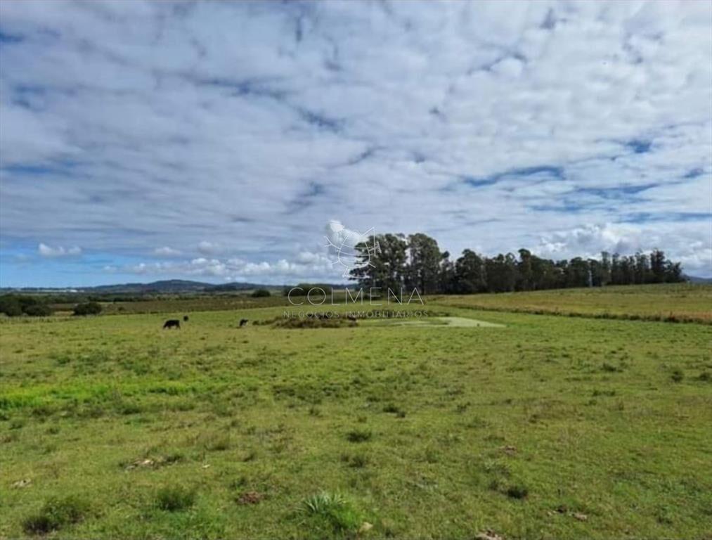 Chacra de 7 has 5437 m2 en los Ceibos