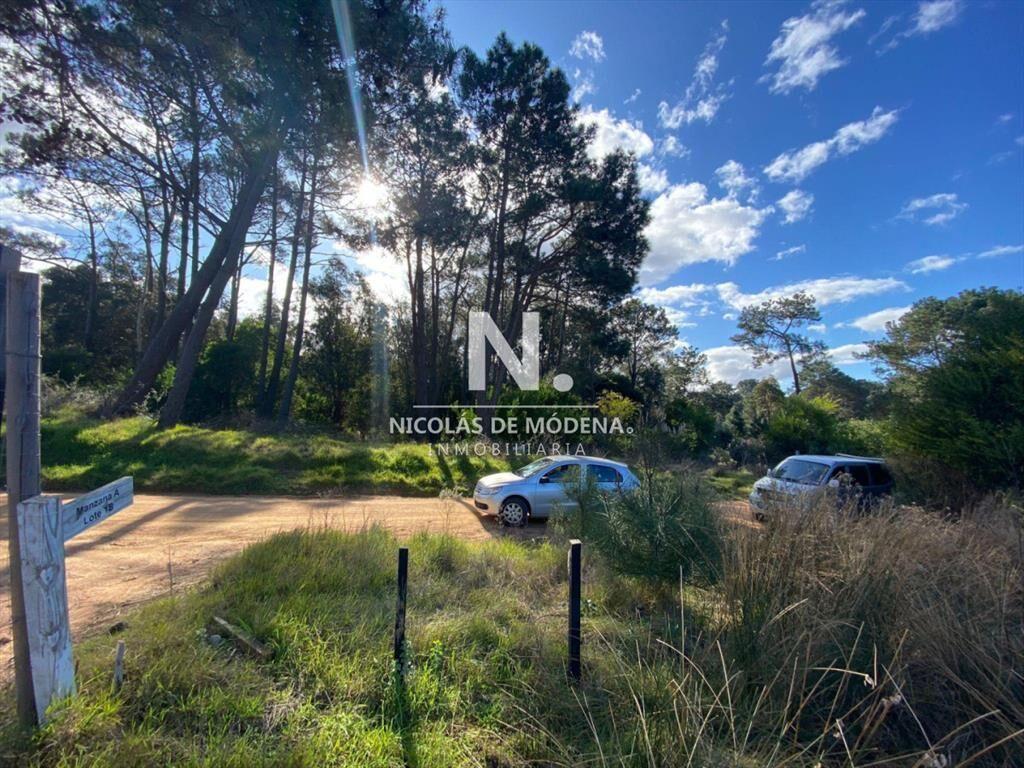 Terreno en barra verde