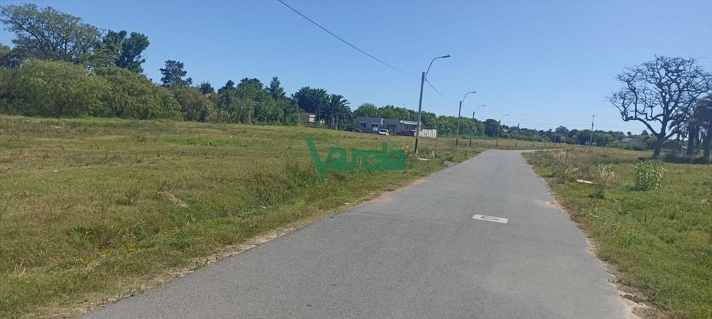 Venta últimos Terrenos con saneamiento. . Suc