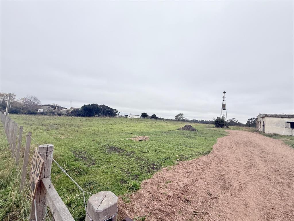 Venta Chacra Camino Gori 36400 metros