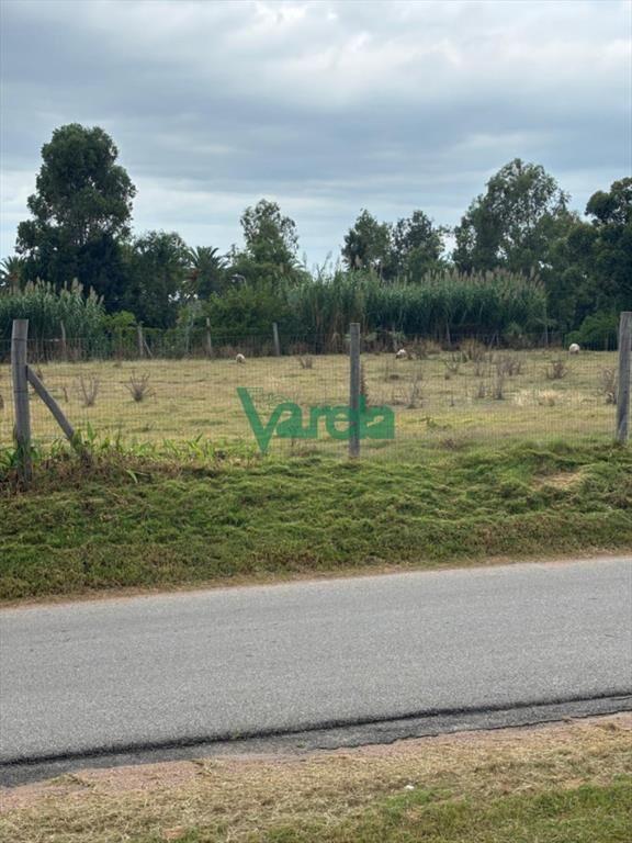 Alquiler terreno Interbalnearia de 4800 m2