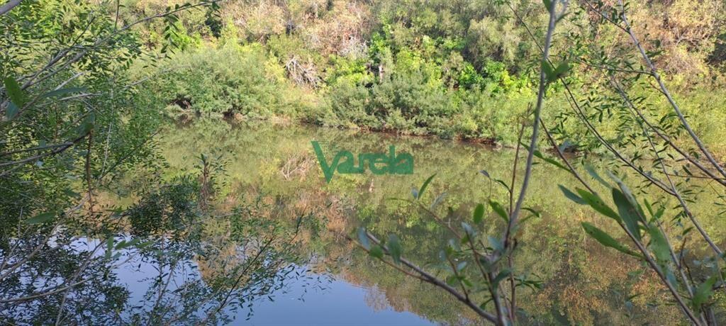 Venta de Campo, Paso del Sordo, Florida, campo de
