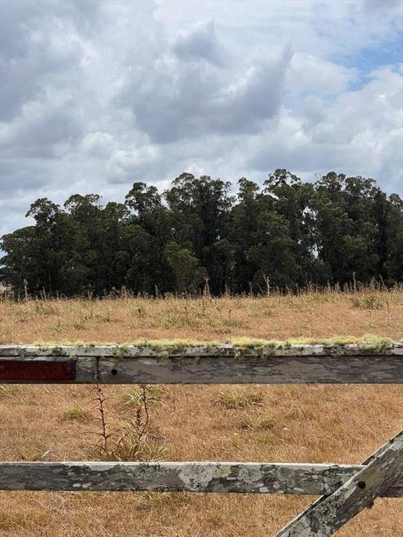 Chacra de 10 ha en venta en Garzón a 15 minutos de José Ign