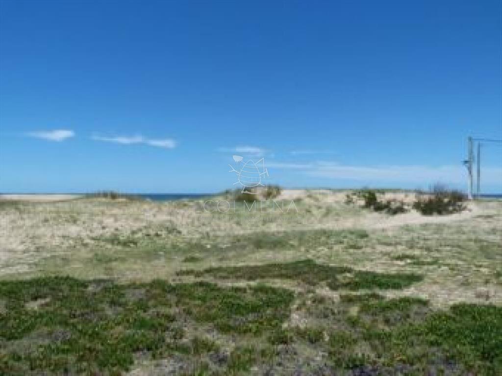 Terreno en Punta Ballena, Chihuahua