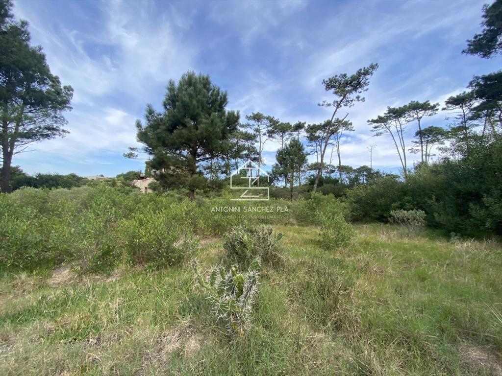Terreno Venta Chihuahua