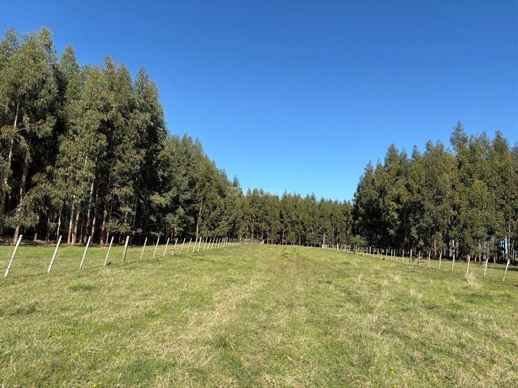 Venta Campo Durazno