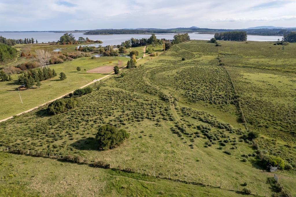 Chacra de 11 hectáreas, venta en laguna del sauce